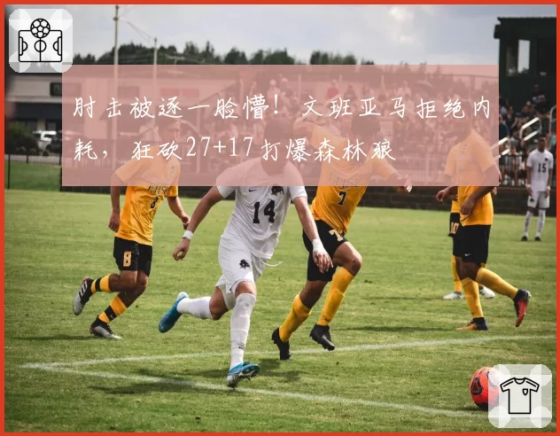 肘击被逐一脸懵！文班亚马拒绝内耗，狂砍27+17打爆森林狼