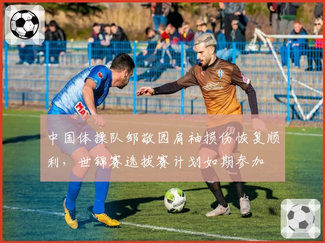 中国体操队邹敬园肩袖损伤恢复顺利，世锦赛选拔赛计划如期参加