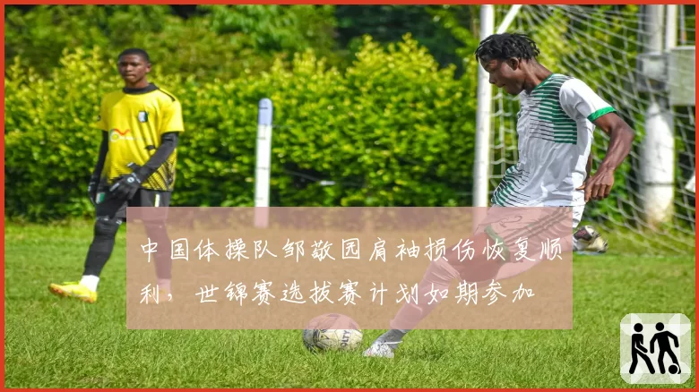 中国体操队邹敬园肩袖损伤恢复顺利，世锦赛选拔赛计划如期参加